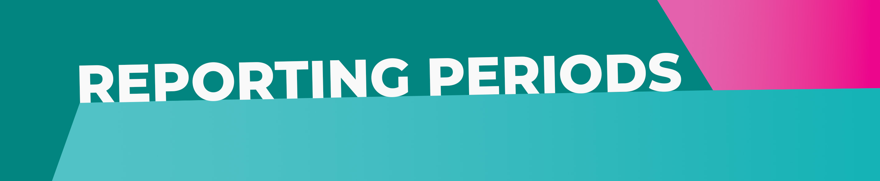 Campaign Finance Reporting Periods Banner