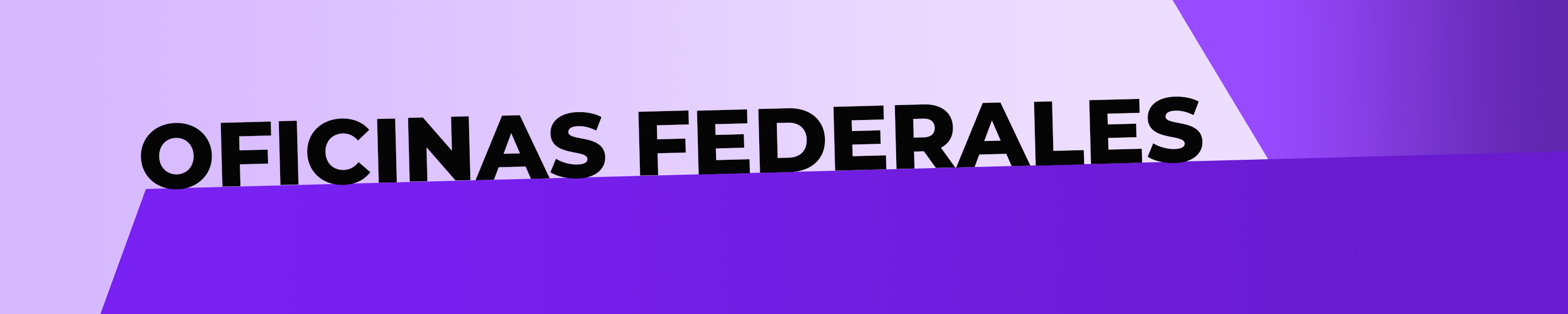Federal Banner
